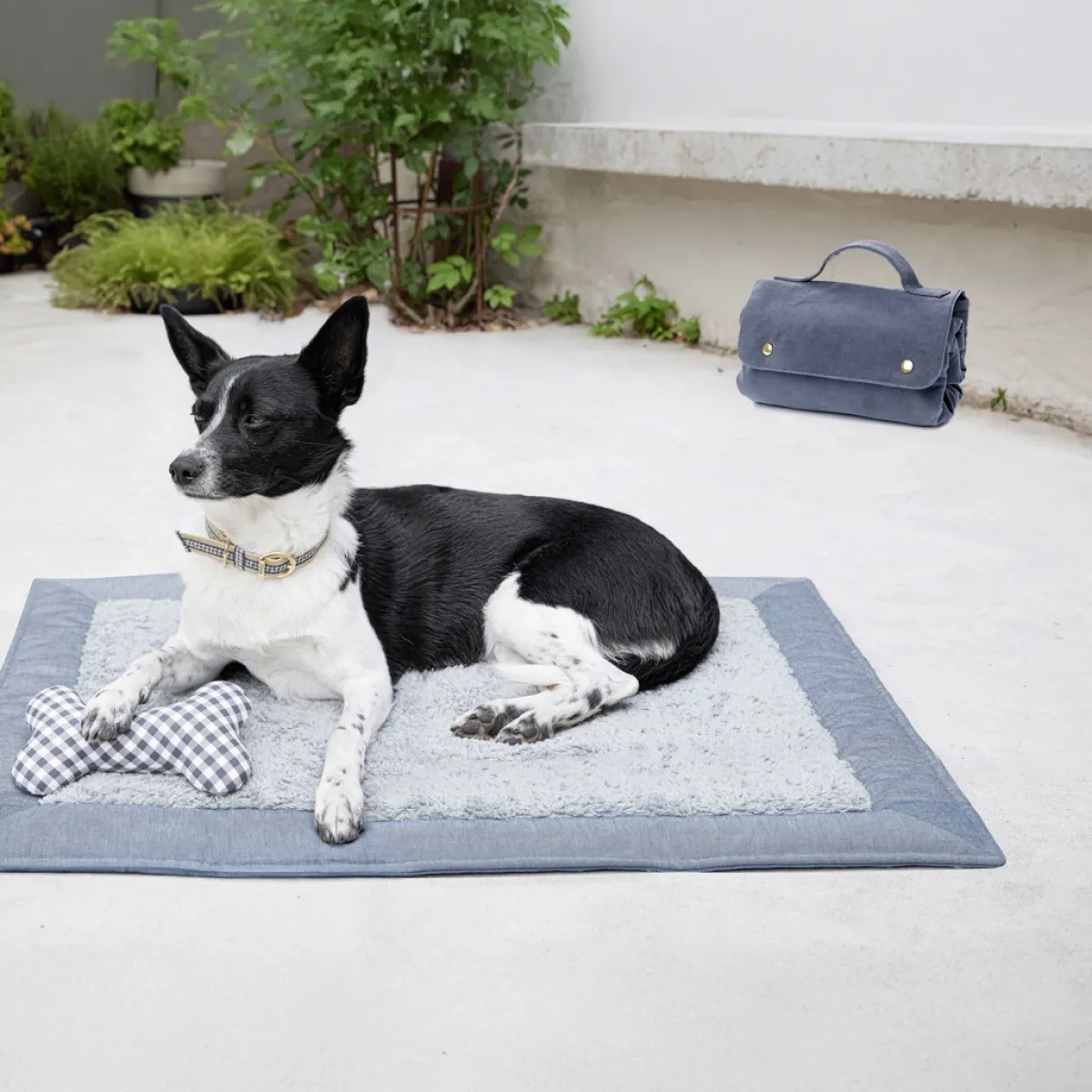 Giesse Scampoli Creatività E Accessori>Accessori per cani