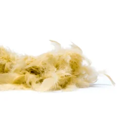 Giesse Scampoli Passamanerie Moda E Piume>Boa