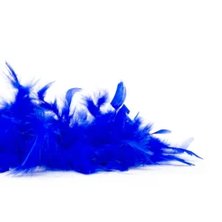 Giesse Scampoli Passamanerie Moda E Piume>Boa