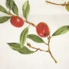 Bambino Giesse Scampoli Tessuti In Cotone>COTONE LEGGERO OLIVE