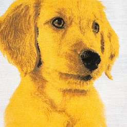 Giesse Scampoli Lenzuola Fantasia>LENZUOLA MODA CANI