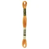 Giesse Scampoli Accessori E Fili Per Il Ricamo>MOULINE SPECIAL 25 DMC