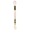 Giesse Scampoli Accessori E Fili Per Il Ricamo>MOULINE SPECIAL 25 DMC