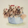 Giesse Scampoli Pannelli Per Cuscini>PANNELLI 47X47 CM MULTIANIMAL